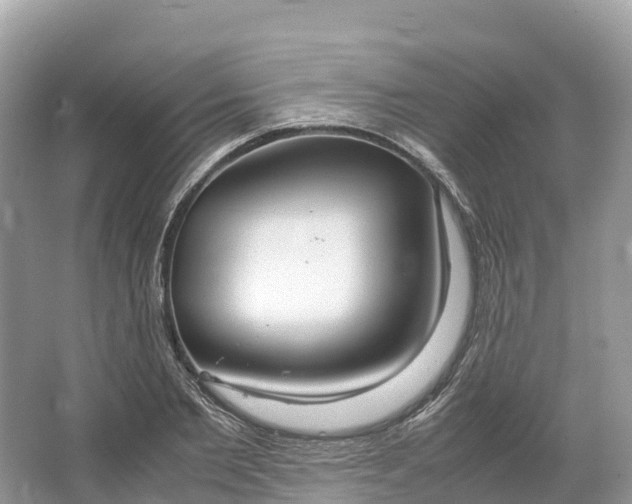 X0000064750885200602241832