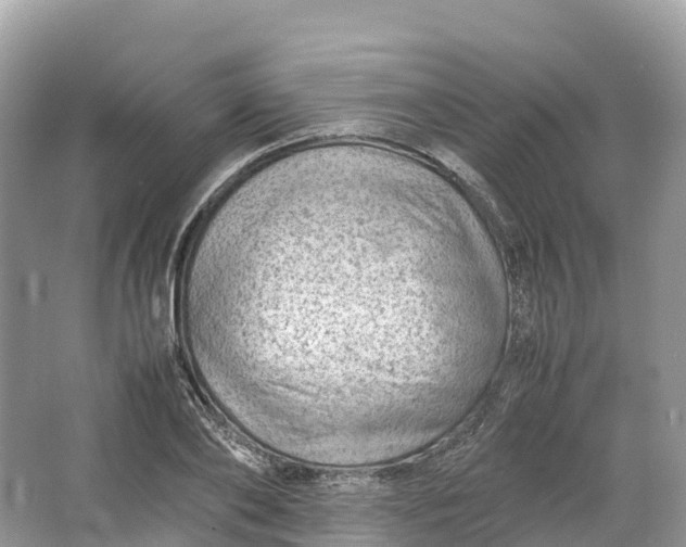 X0000064750886200602241832