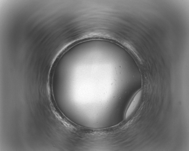 X0000064750888200602241832