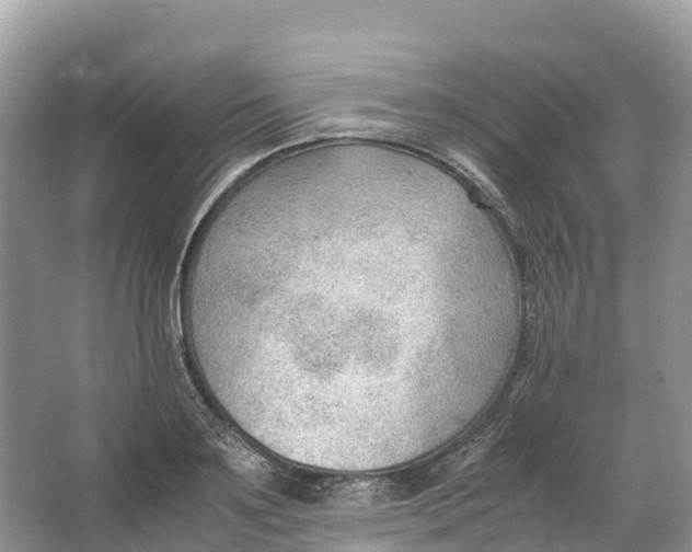 X0000064750891200602241831