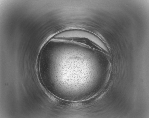 X0000064750893200602241831