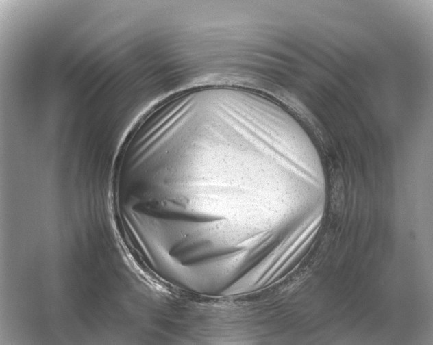 X0000064750896200602241831