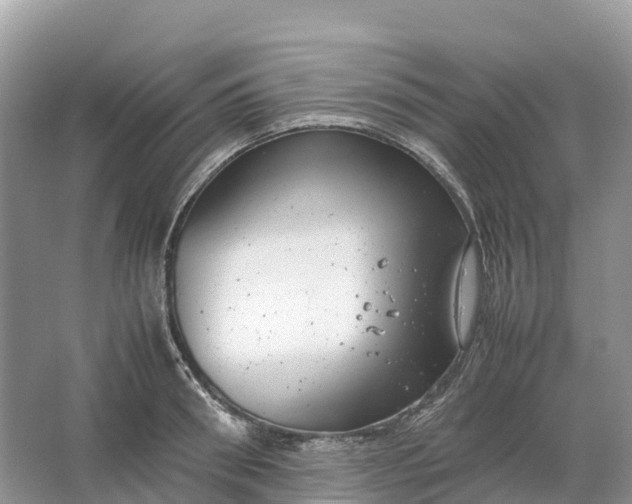 X0000064750898200602241831