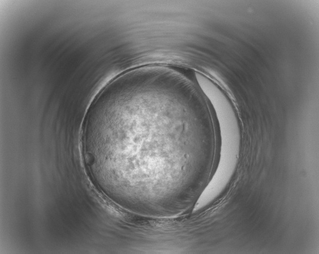 X0000064750899200602241831