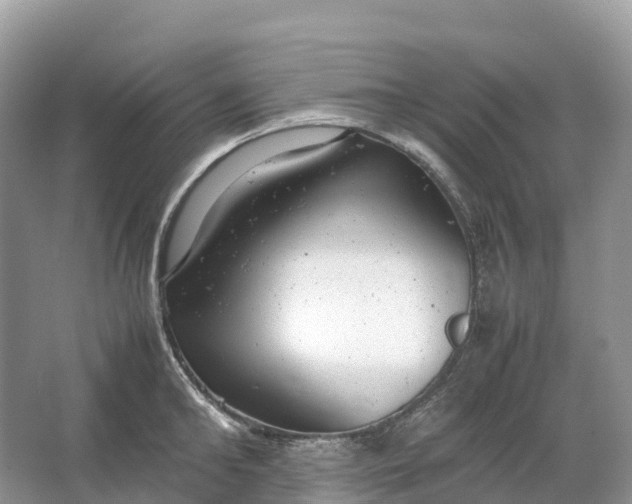 X0000064750902200602241831