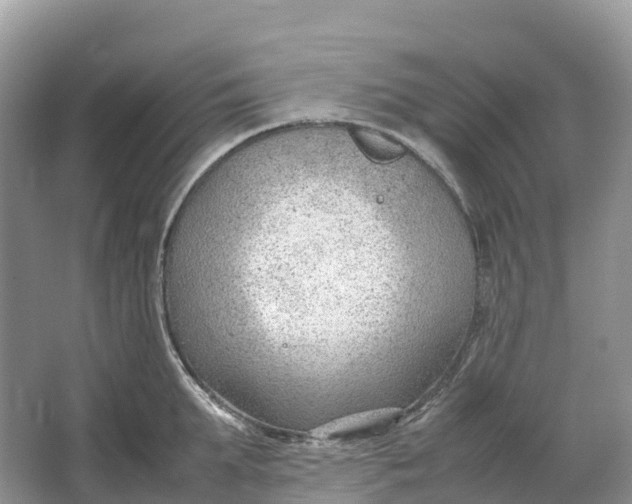 X0000064750903200602241831