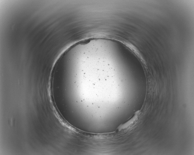 X0000064750904200602241831