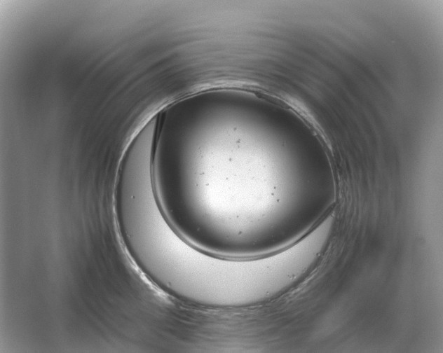 X0000064750906200602241831