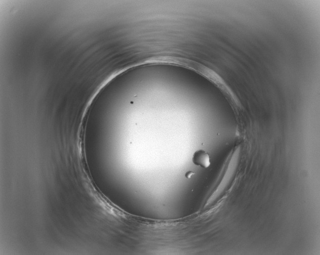 X0000064750908200602241831