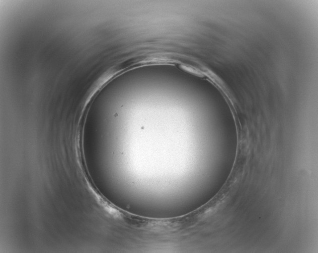 X0000064750909200602241831