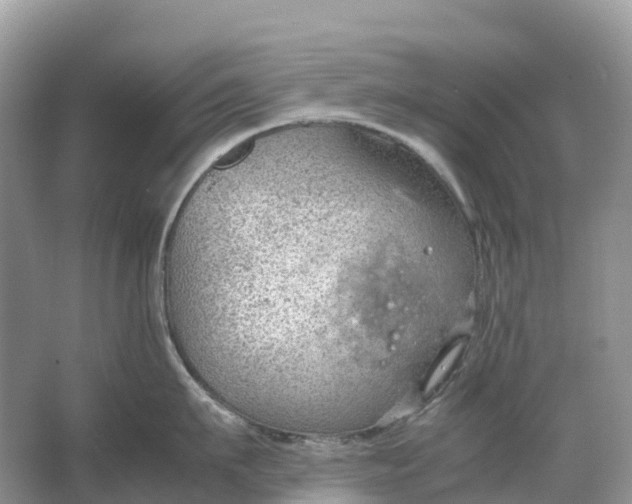 X0000064750911200602241831