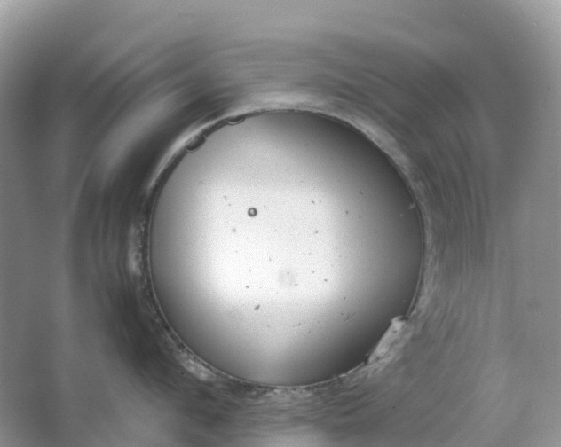 X0000064750912200602241831