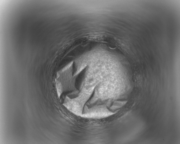 X0000064750913200602241830