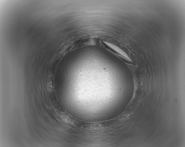 X0000064750916200602241830