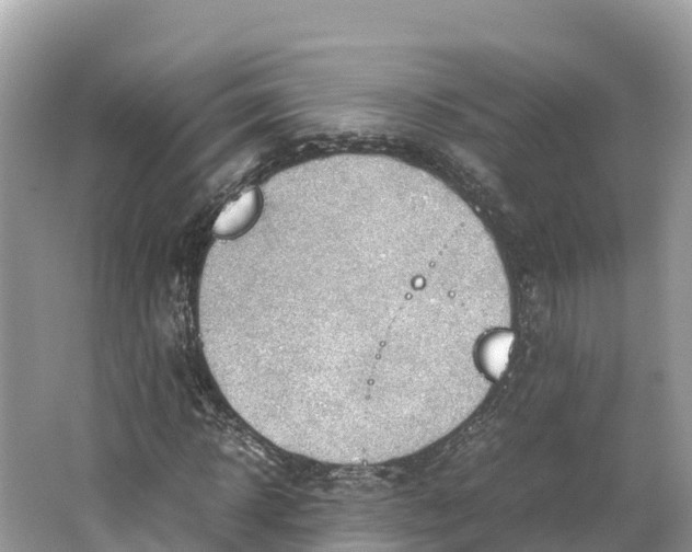 X0000064750918200602241830