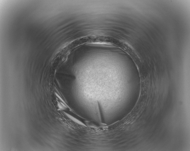 X0000064750919200602241830