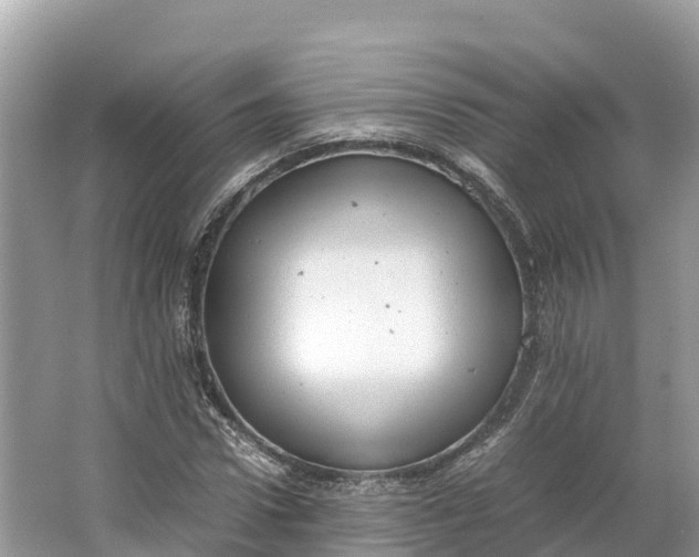 X0000064750922200602241830