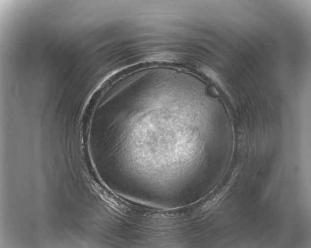 X0000064750923200602241830