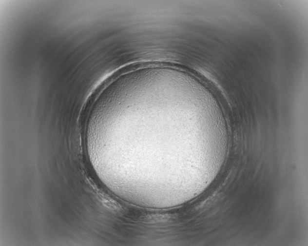 X0000064750925200602241830