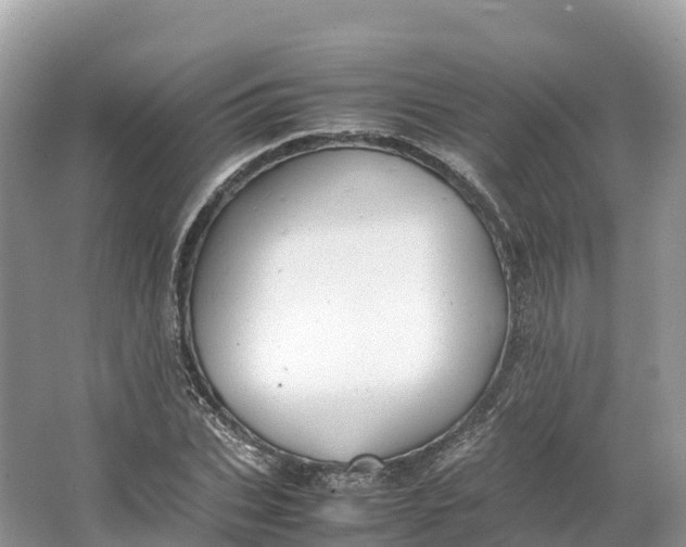 X0000064750927200602241830