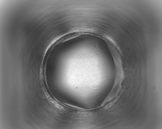 X0000064750928200602241830