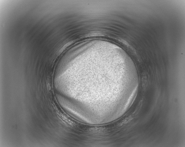 X0000064750929200602241830