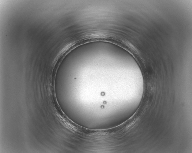 X0000064750930200602241830