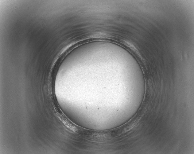 X0000064750931200602241830