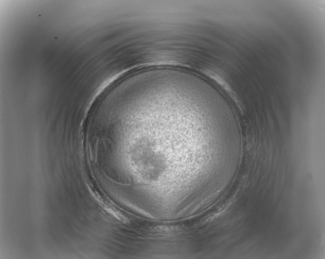 X0000064750933200602241830