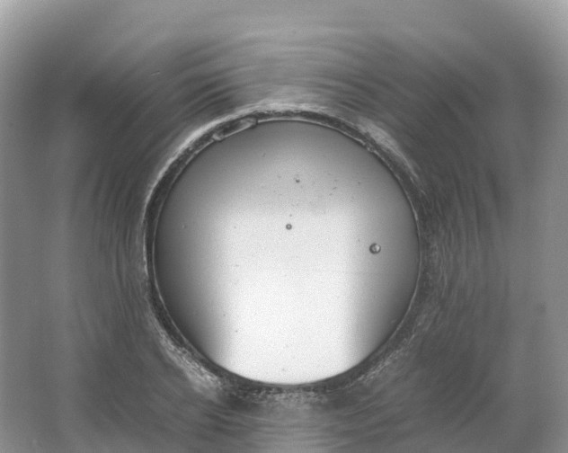 X0000064750934200602241830