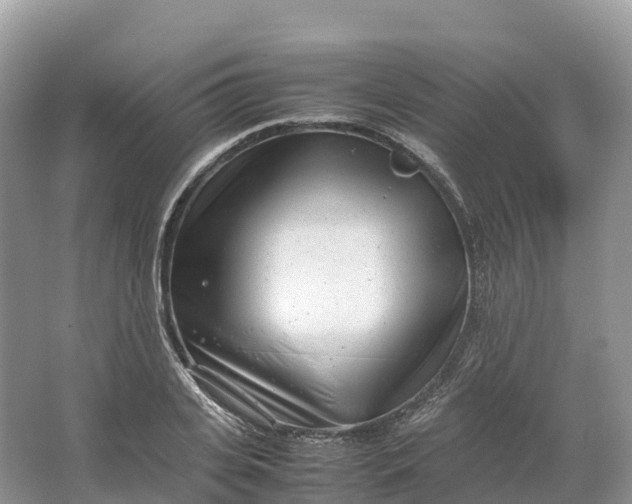 X0000064750935200602241830