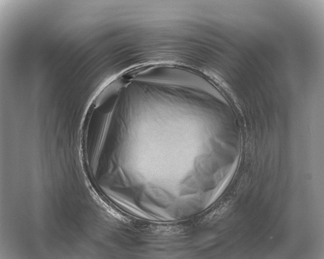 X0000064750941200602241830