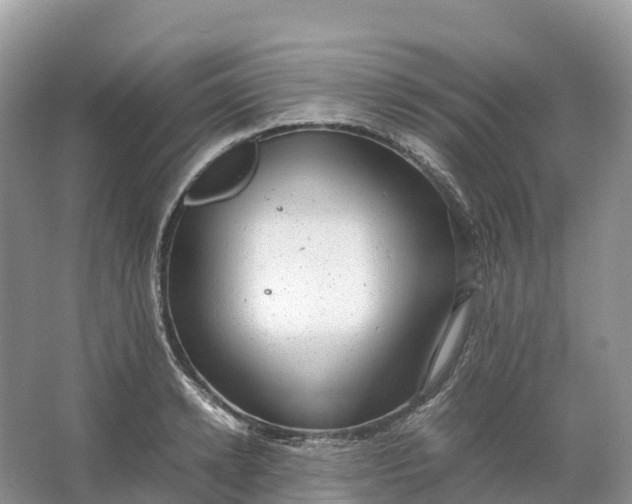 X0000064750942200602241830