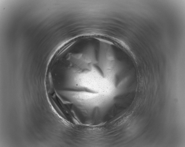 X0000064750943200602241830