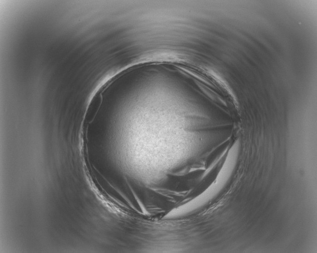 X0000064750944200602241830