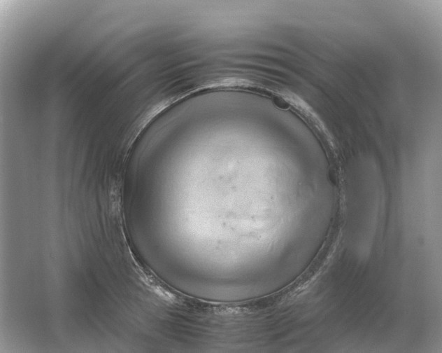 X0000064750945200602241831