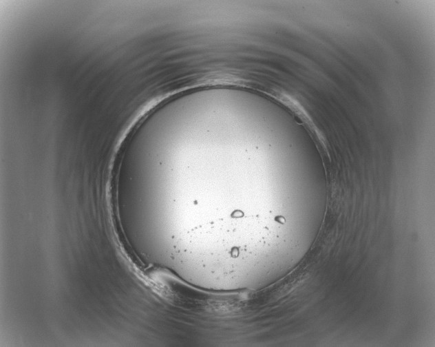 X0000064750947200602241831