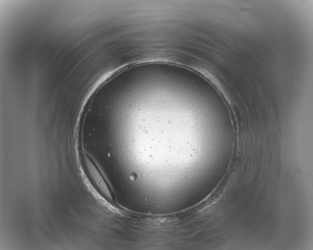 X0000064750949200602241831