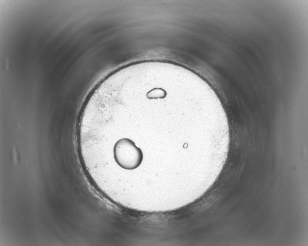 X0000064750950200602241831