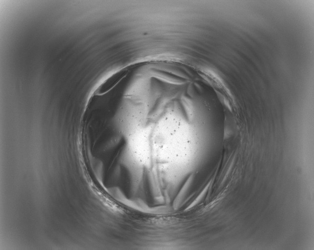 X0000064750952200602241831