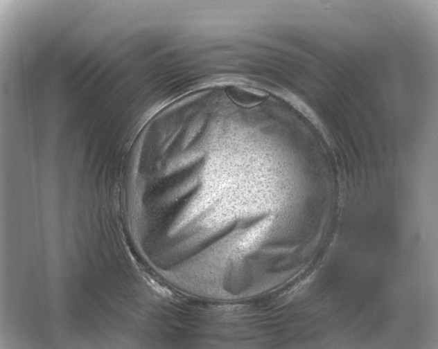 X0000064750953200602241831