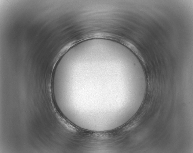 X0000064750954200602241831