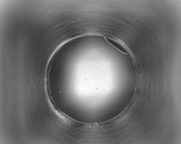 X0000064750955200602241831