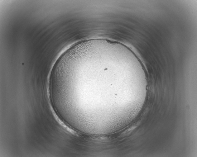 X0000064750957200602241831