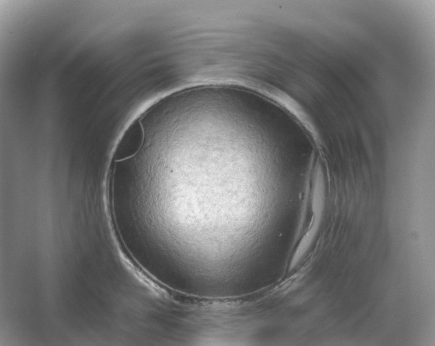 X0000064750958200602241831