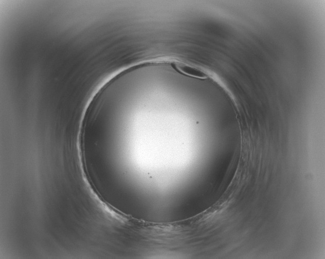 X0000064750959200602241831