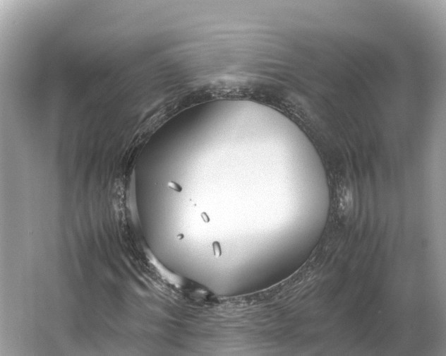 X0000064750964200602241830