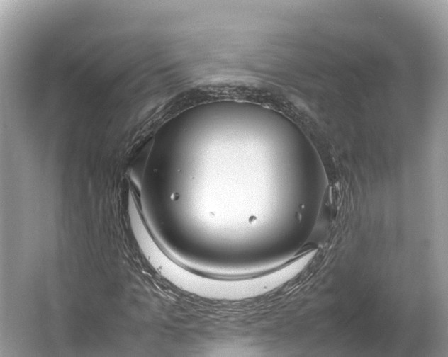 X0000064750965200602241830