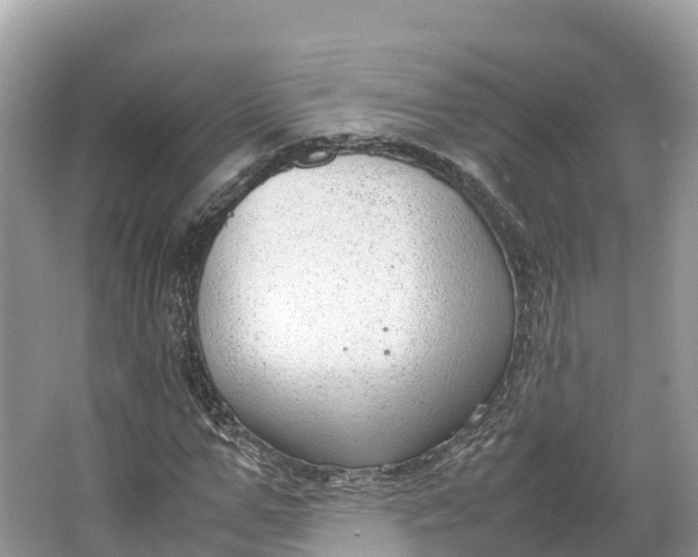 X0000064750967200602241830