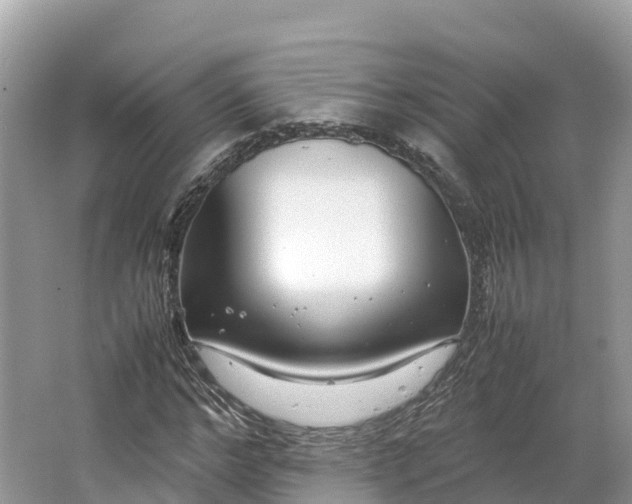 X0000064750968200602241829